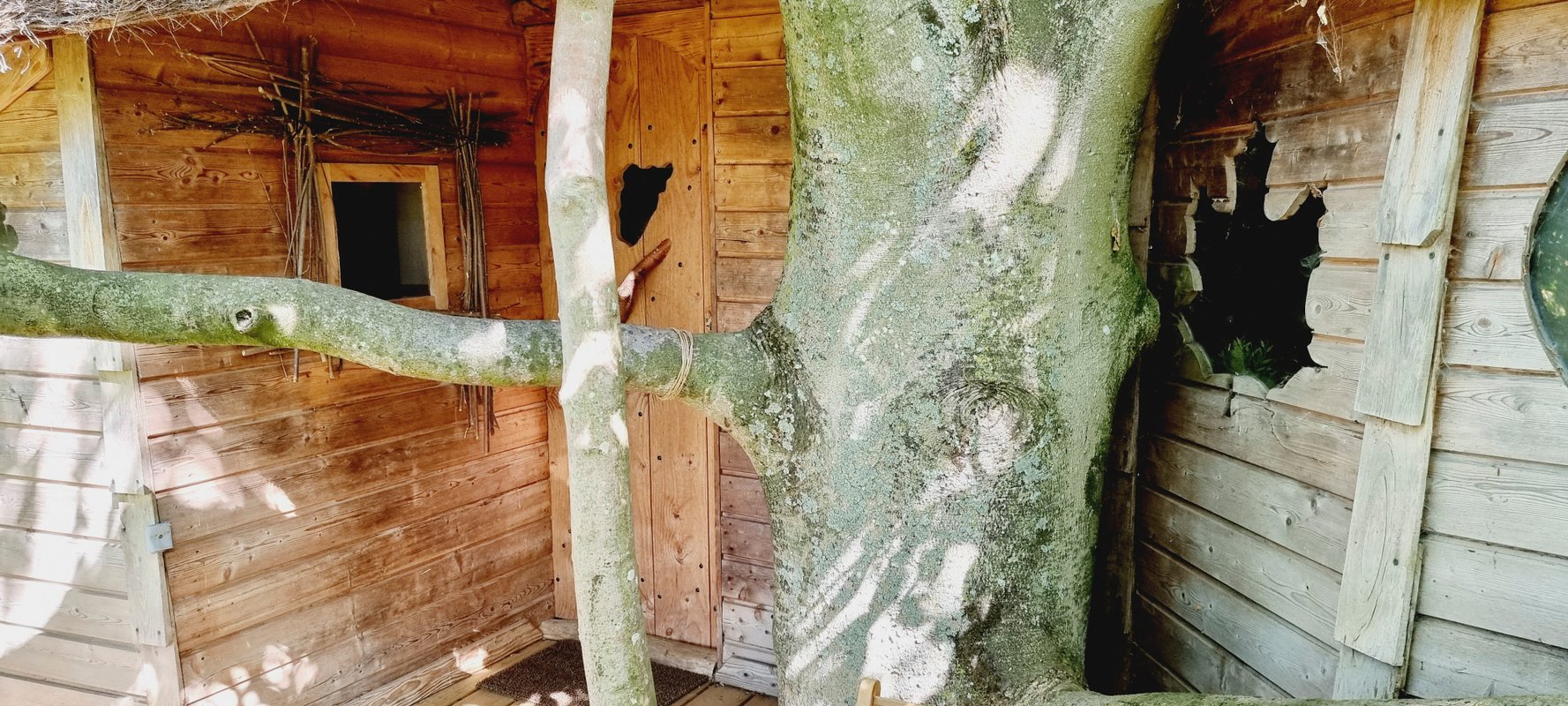 La cabane Haut-Perchée & Spa à Wail (17)