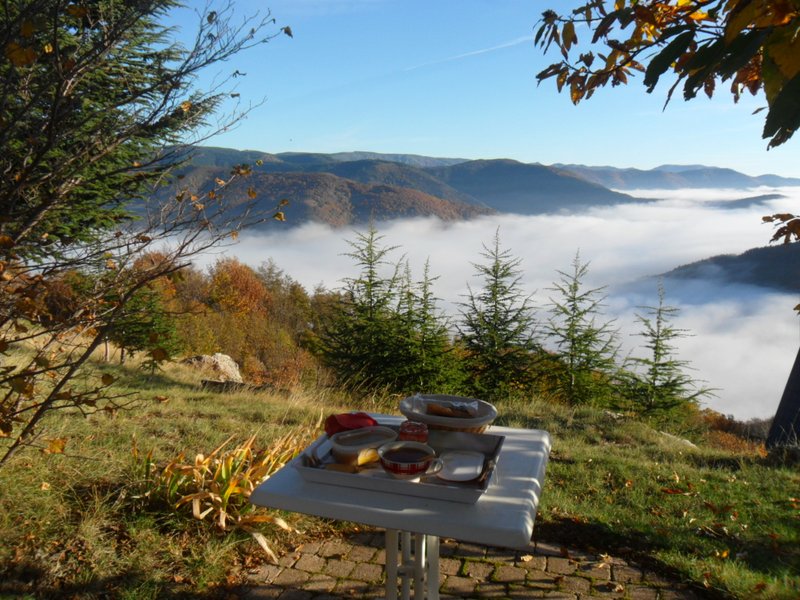 Domaine AbracadaRoom : Le Bois d'Eden - Image 4