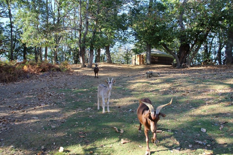 Domaine AbracadaRoom : Au Bois d'Escoumos - Image 12