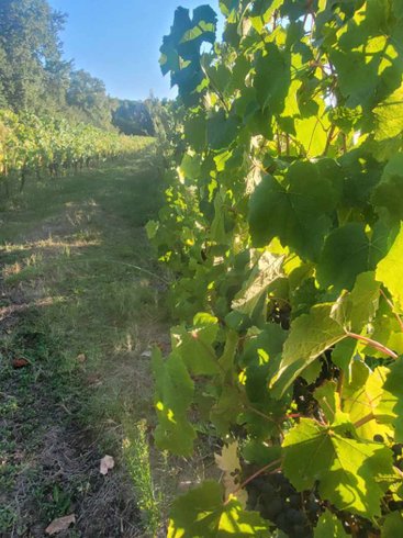 Hébergement AbracadaRoom : Le Dôme romantique du lac de la Cadie & Spa - Image 25