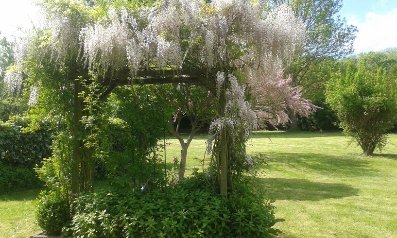 Domaine AbracadaRoom : Chez Lila des Bois - Image 1