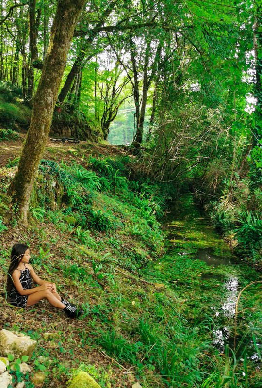 Gîte dans les bois, au coeur du Périgord noir avec étang privé à Saint Andre Allas (20)