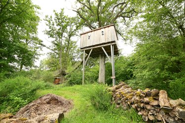 Cabane du Vieux Chêne à Descartes (4)