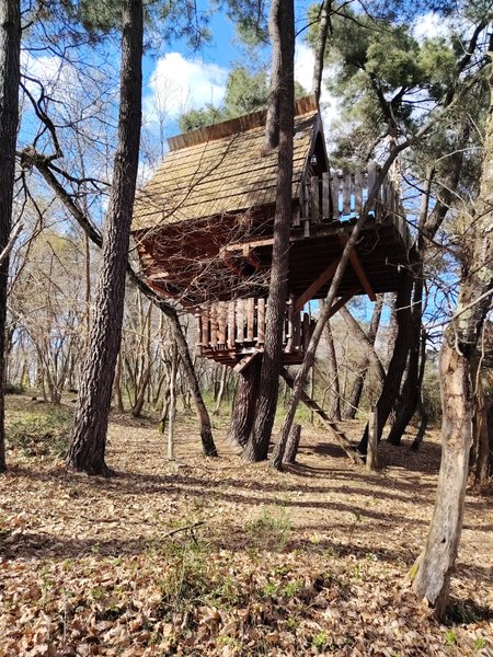 Hébergement AbracadaRoom : Cabane Nid d’Oiseaux - Un cocon perché qui danse avec le vent - Image 1