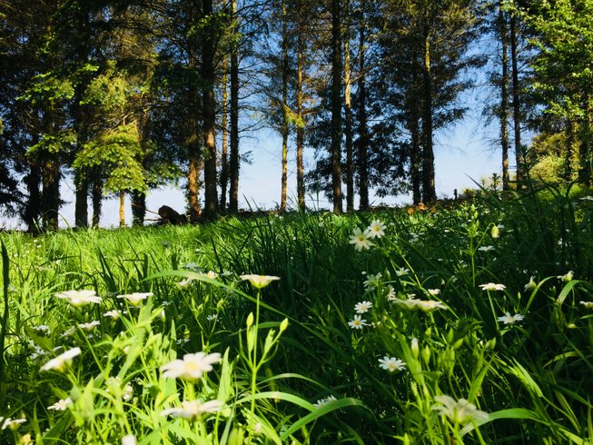 Domaine AbracadaRoom : Nuit Sauvage - Image 2