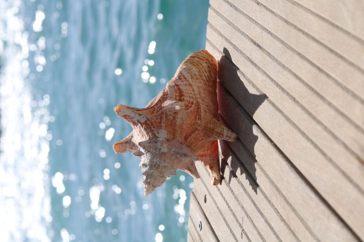 Hébergement AbracadaRoom : Aqua Lodge le Rêve flottant Les Saintes - Image 59