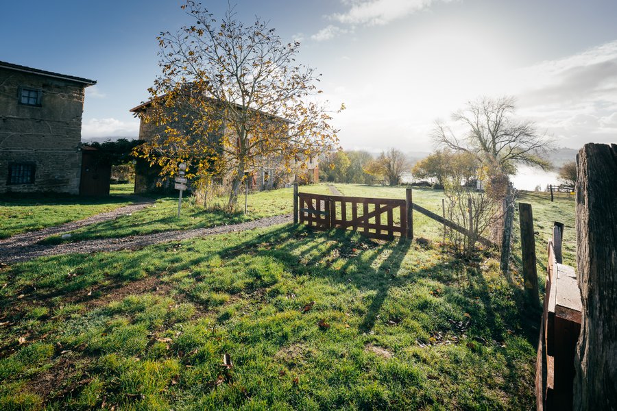 Domaine AbracadaRoom : Domaine du COQ en PAT - Image 1