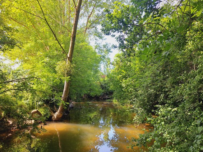 Domaine AbracadaRoom : Le Moulin Etourneau - Image 4
