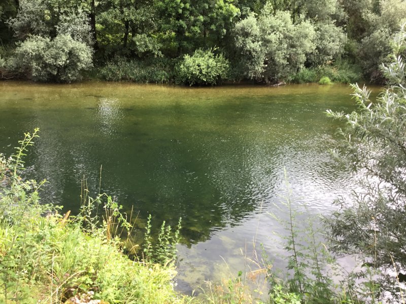 Domaine AbracadaRoom : Tiny house de la Gravière - Image 9