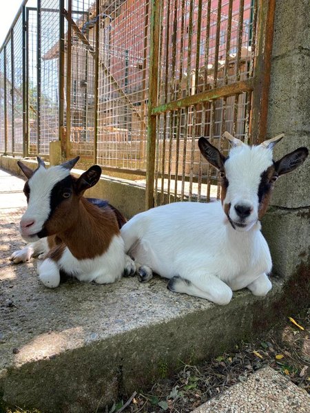 Domaine AbracadaRoom : Dans ma bulle - Image 22