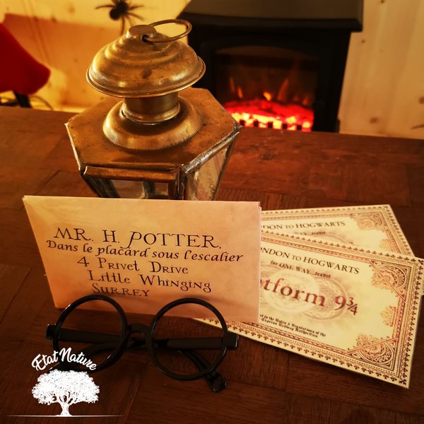 Hébergement AbracadaRoom : Le gîte Harry Potter - Image 5