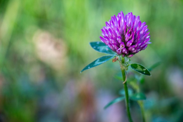 Hébergement AbracadaRoom : Samburu, en-suite - Image 12