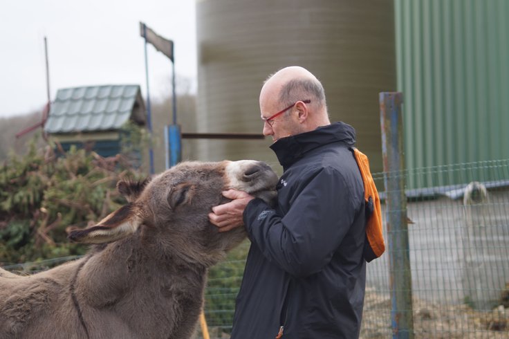 Domaine AbracadaRoom : Ferme du Moulin de Bois - Image 10