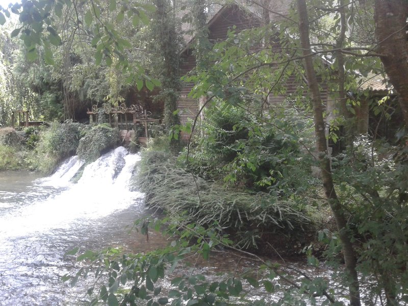 Domaine AbracadaRoom : Graine d'insolite - Image 6