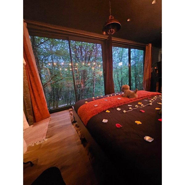 Hébergement AbracadaRoom : La Cabane Enchanteresse & SPA - Image 19