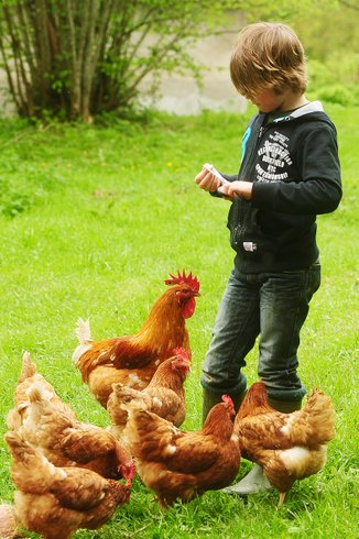 Domaine AbracadaRoom : Kimaro Farmhouse - Image 32