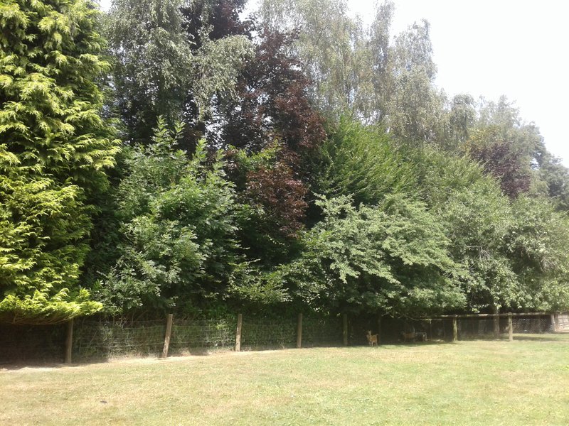 Domaine AbracadaRoom : Graine d'insolite - Image 8