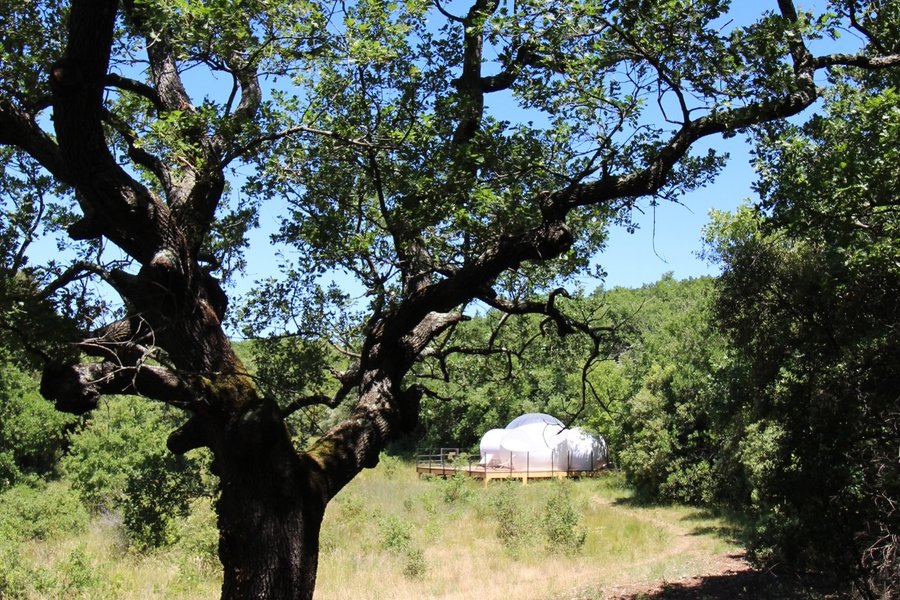 Bulle "Croix du Sud" & Piscine chauffée — photo 2