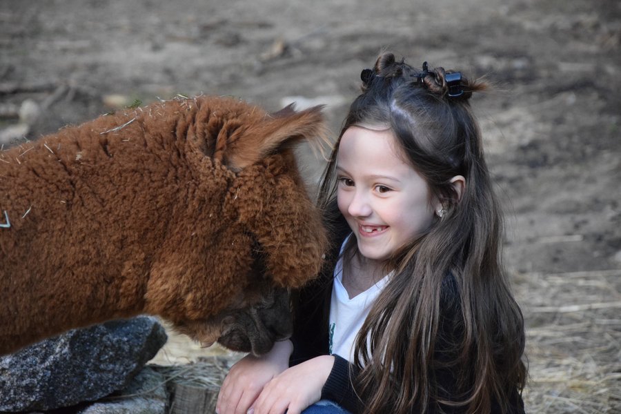 Domaine AbracadaRoom : Ferme Jean des Houx - Image 2