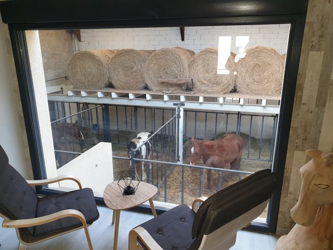 Domaine AbracadaRoom : Equi-lodges - Image 23