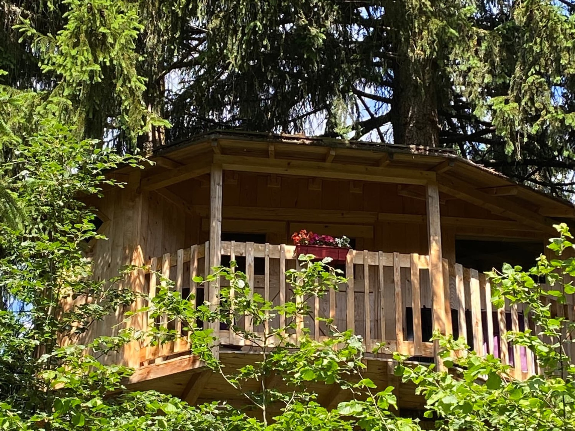 Cabane la Marmotte