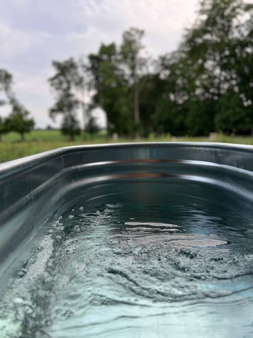 Domaine AbracadaRoom : Le Vert d'Orezza - Image 33