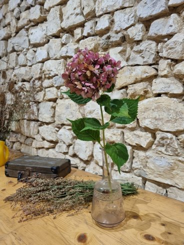 Hébergement AbracadaRoom : La cabane Bohème - Image 15