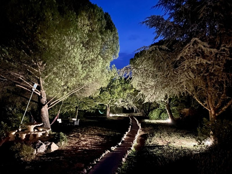 Hébergement AbracadaRoom : Tiny House Joy - Image 19