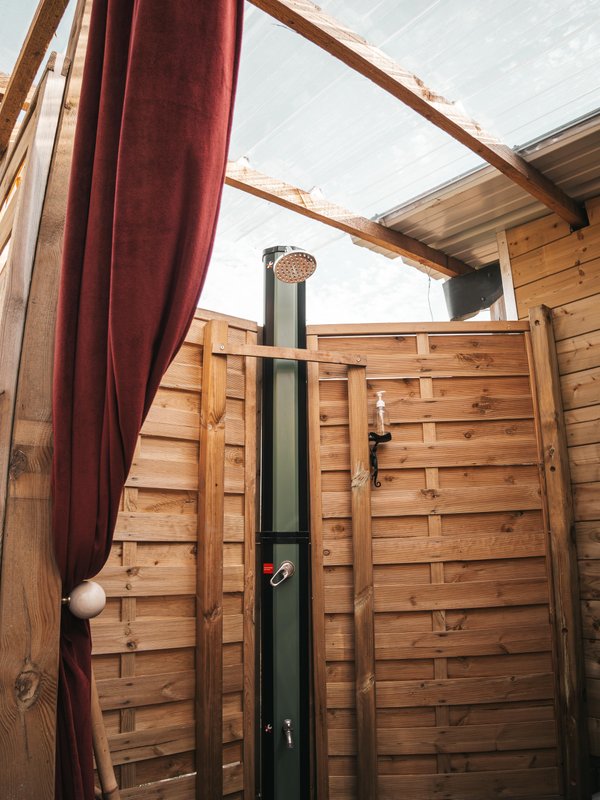 Les alpagas du clos à La Cerlangue (16)