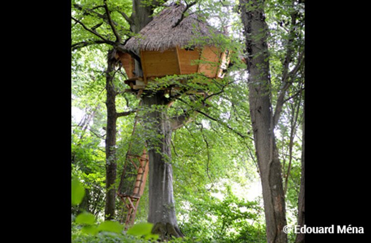 Hébergement AbracadaRoom : Grand Hêtre - Image 3