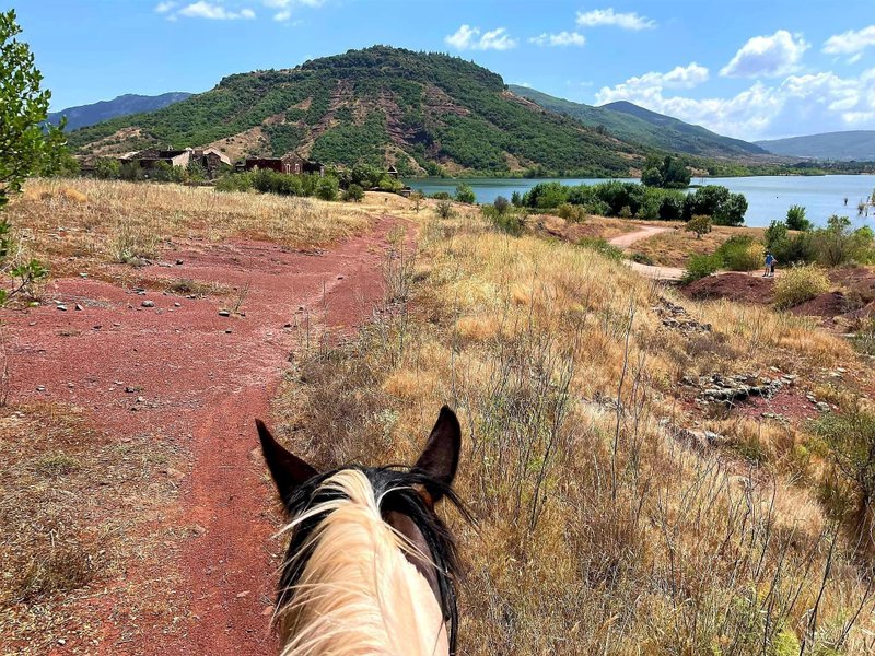 Domaine AbracadaRoom : L'Attrape Rêves - Image 6