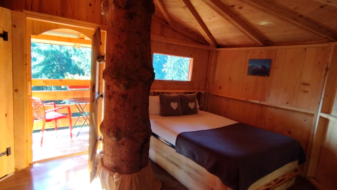 Cabane dans les arbres - La Verte, vue sur le Mont Blanc à Passy (3)