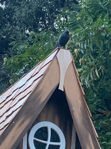 Hébergement AbracadaRoom : La Cabane Aéloria & Spa - Image 8