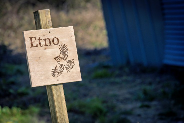 Hébergement AbracadaRoom : Etno : ecolodge de luxe en pleine nature avec vue et bain nordique - Image 8