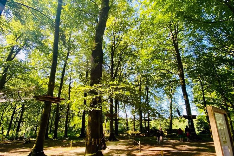 Chalet-Lodge 3 pers avec spa privatif — photo 2