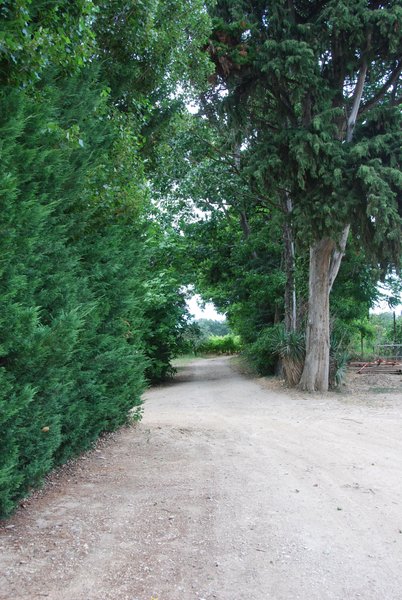 Hébergement AbracadaRoom : Le Tonneau du Nid'Oiselet - au coeur d'une ferme en Provence - Image 20