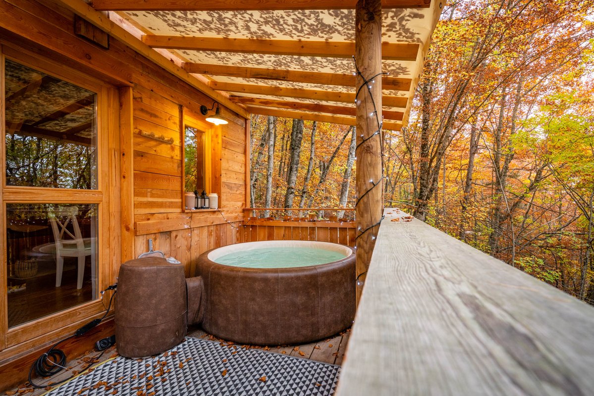 Cabane des Sylphes & Spa à Saint Léger Les Mélèzes (2)