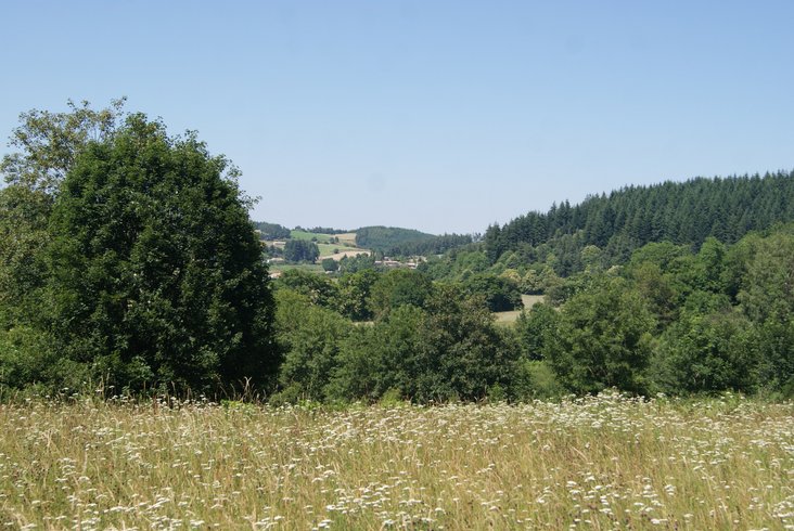 Domaine AbracadaRoom : Cabanes de Labrousse - Image 3