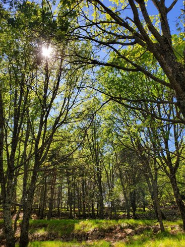 Domaine AbracadaRoom : Retour aux Sources - Image 12