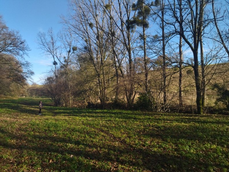 Hébergement AbracadaRoom : Bulle étoilée - Image 3