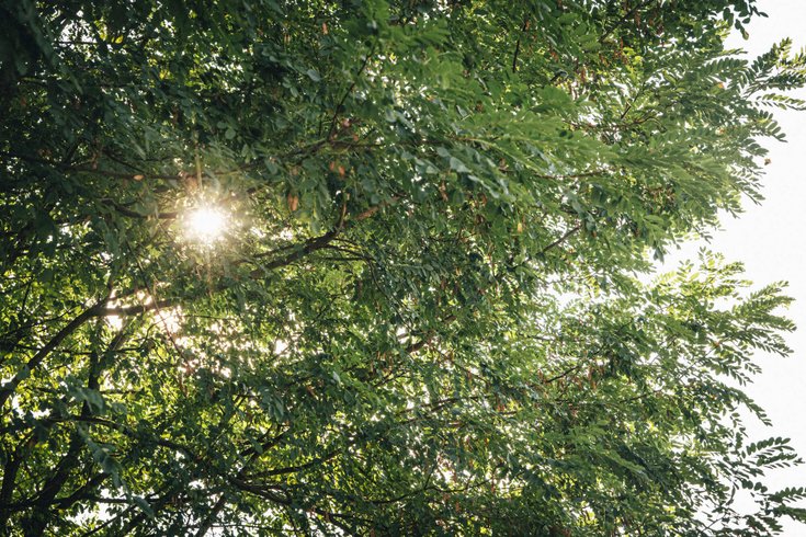 Hébergement AbracadaRoom : La Bulle SPA Suite - Image 24