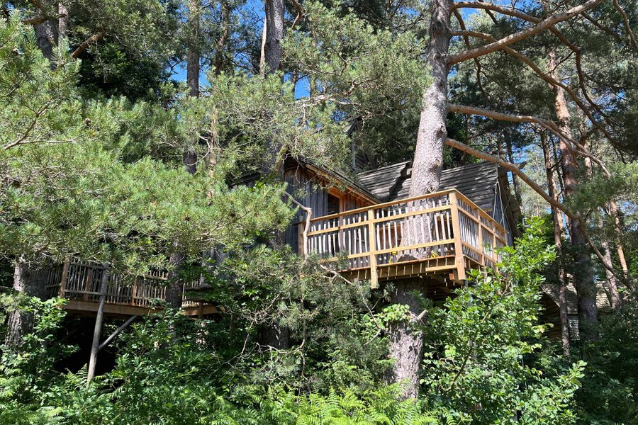 Cabane perchée Cosy Duo — photo 2