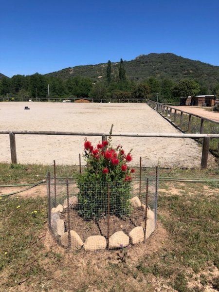 Hébergement AbracadaRoom : Les chalets de Tesa 4 - Image 11