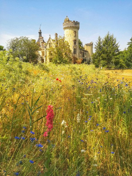 Domaine AbracadaRoom : Château de la Mothe Chandeniers - Image 3