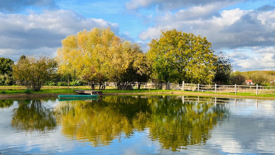 Hébergement AbracadaRoom : CARPE DIEM - Image 8