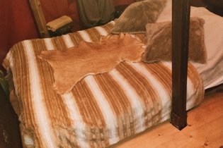 Tente et tente lodge Indre