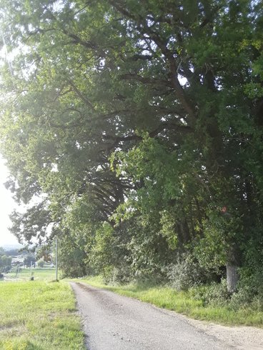 Hébergement AbracadaRoom : Le Bus du bois de Mondon - Image 9