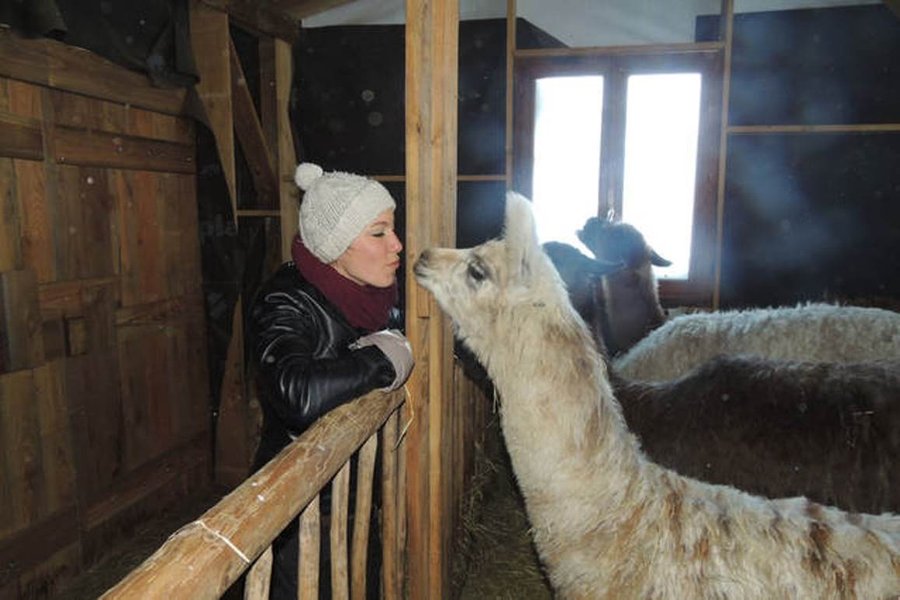 animaux du gîte familial des scaravella