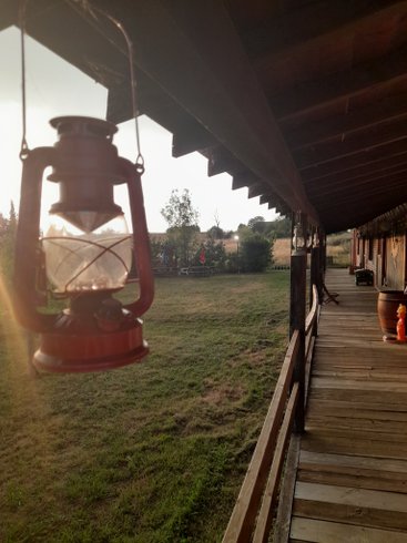 Domaine AbracadaRoom : Wallaby de Benett'on - Image 5