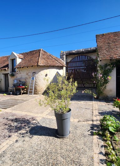 Maisonnette des Vignerons à Chinon